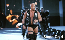 Stone Cold Steve Austin